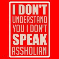 I Don't Understand You I Don't Speak Assholian Funny Santa Hat thumb 1