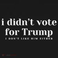 I Didn’T Vote Trump Anti Trump Travel Americans Abroad T-Shirt thumb 7