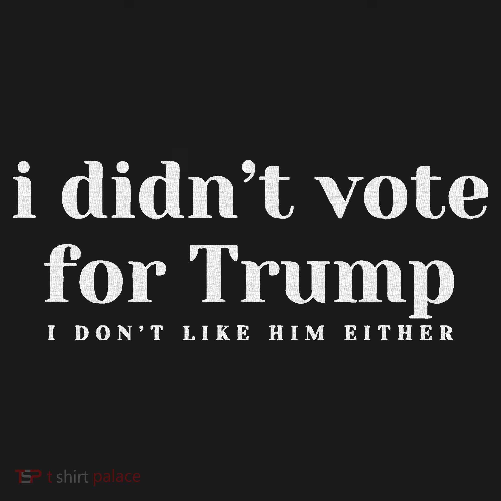 I Didn’T Vote Trump Anti Trump Travel Americans Abroad T-Shirt