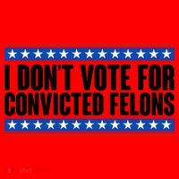 I Dont Vote For Convicted Felons Trump Santa Hat thumb 1
