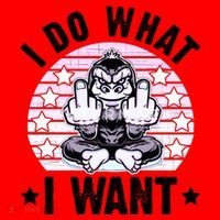 I Do What I Want Funny Monkey Santa Hat thumb 1