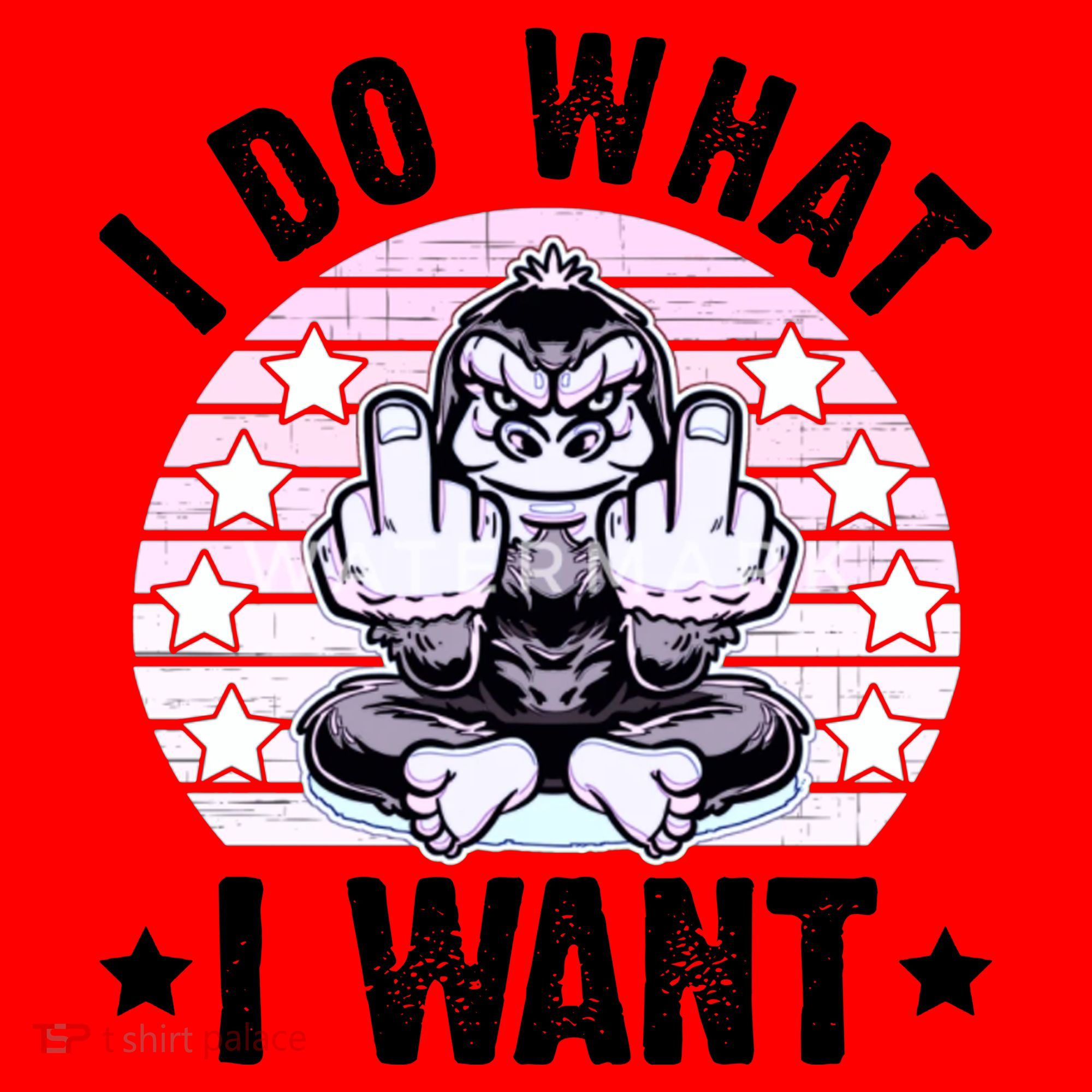 I Do What I Want Funny Monkey Santa Hat