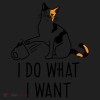 I Do What I Want Trending Cat Lovers Meme Coffee Attitude Woraglan Drink Beanie thumb 2