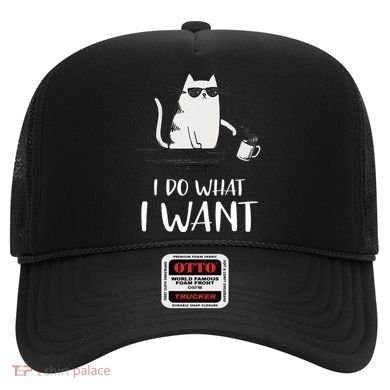 I Do What I Want Funny Cat Lovers Hat