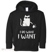 I Do What I Want Funny Cat Lovers Toddler Hoodie thumb 0