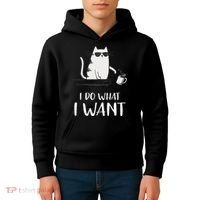 I Do What I Want Funny Cat Lovers Kids Hoodie thumb 4