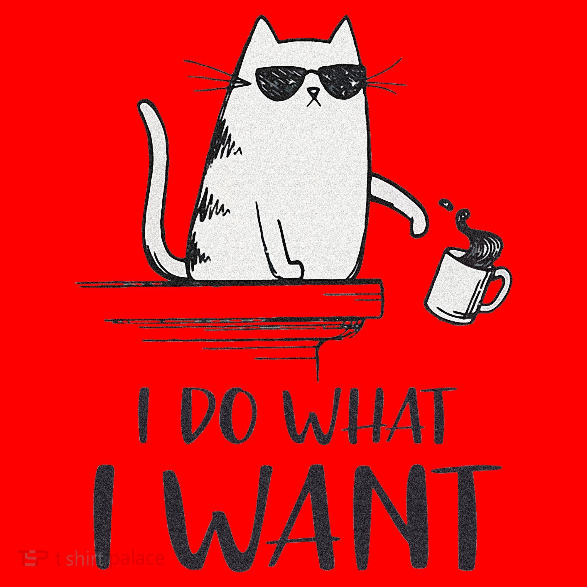 I Do What I Want Funny Cat Lovers Santa Hat