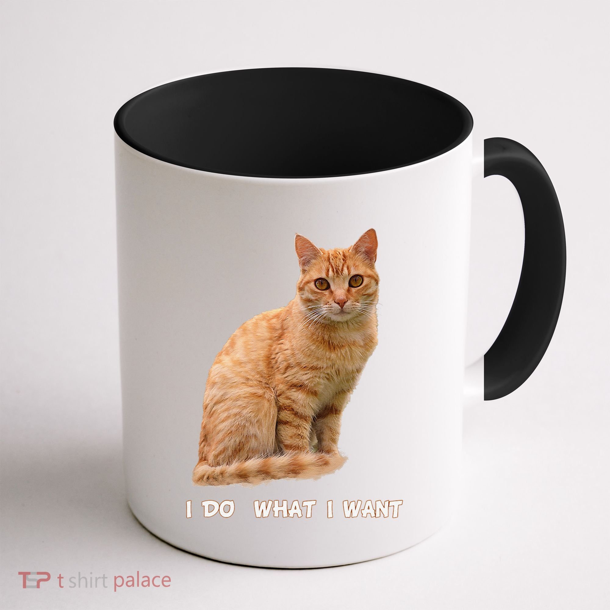 I Do What I Want Funny Orange Tabby Cat Lovers Gifts Coffee Mug