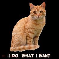 I Do What I Want Funny Orange Tabby Cat Lovers Gifts Coffee Mug thumb 5
