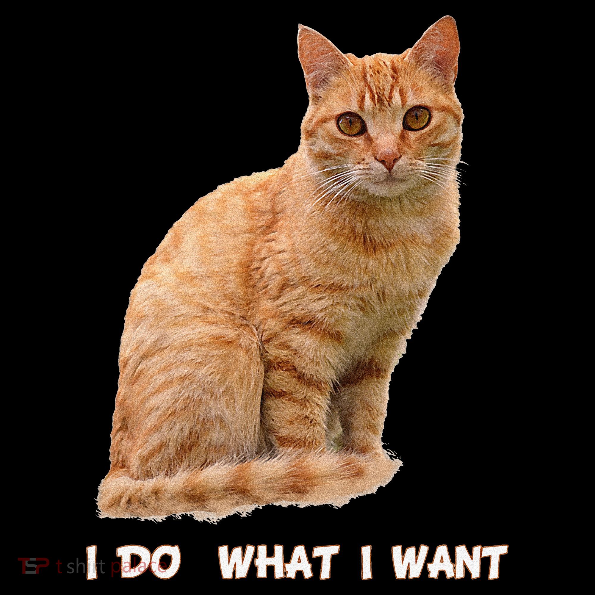 I Do What I Want Funny Orange Tabby Cat Lovers Gifts Coffee Mug