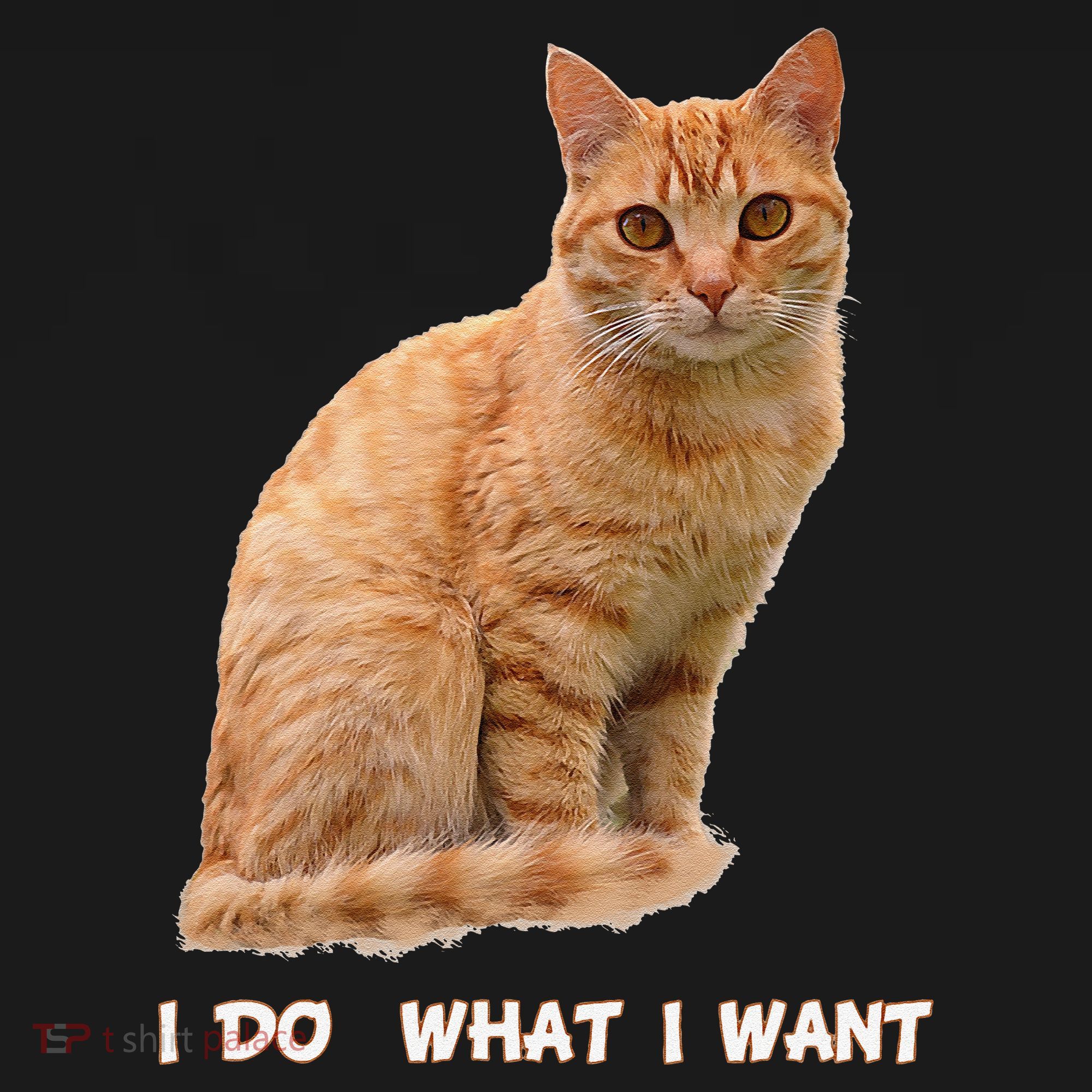 I Do What I Want Funny Orange Tabby Cat Lovers Gifts Women's Tank Top