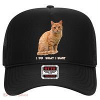I Do What I Want Funny Orange Tabby Cat Lovers Gifts Hat thumb 0