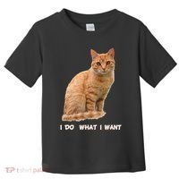 I Do What I Want Funny Orange Tabby Cat Lovers Gifts Toddler T-Shirt thumb 0