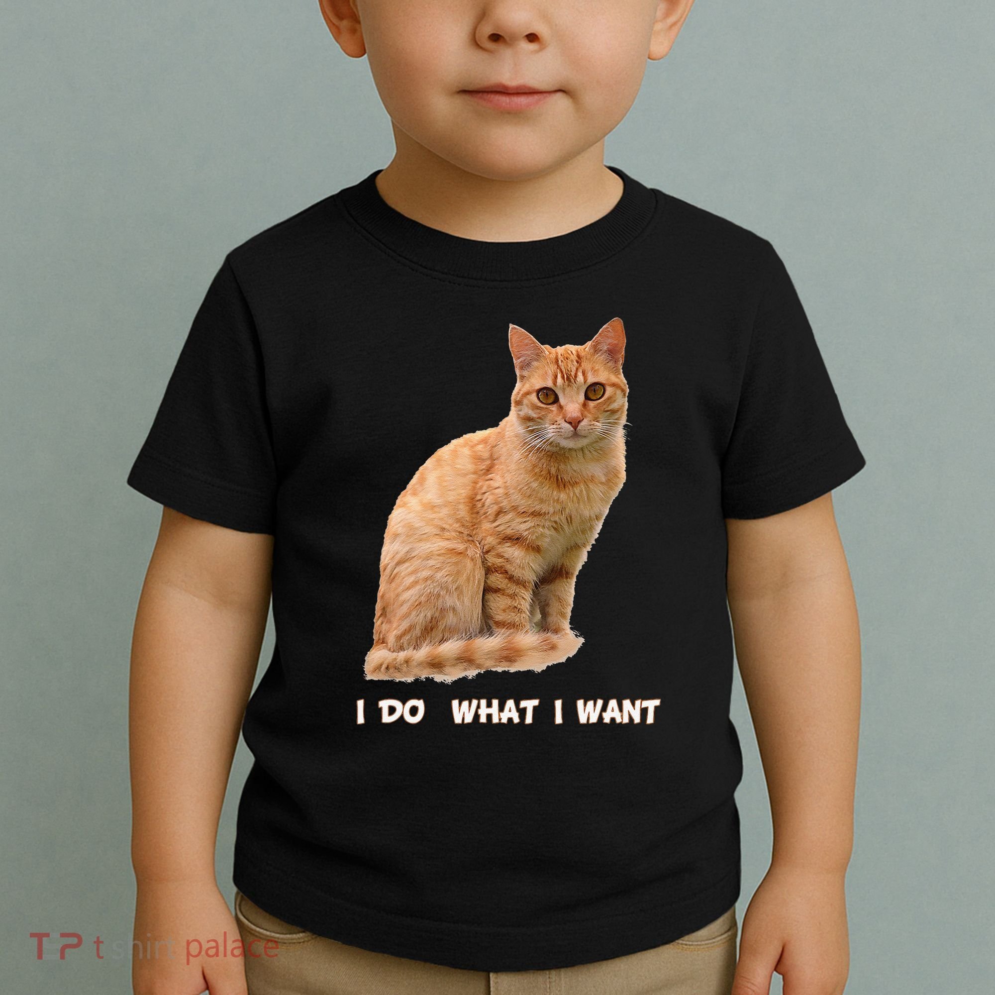 I Do What I Want Funny Orange Tabby Cat Lovers Gifts Toddler T-Shirt