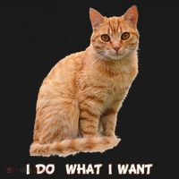 I Do What I Want Funny Orange Tabby Cat Lovers Gifts Visor thumb 3