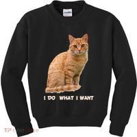 I Do What I Want Funny Orange Tabby Cat Lovers Gifts Kids Sweatshirt thumb 0