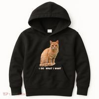 I Do What I Want Funny Orange Tabby Cat Lovers Gifts Kids Hoodie thumb 0