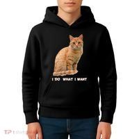 I Do What I Want Funny Orange Tabby Cat Lovers Gifts Kids Hoodie thumb 4