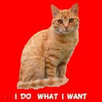 I Do What I Want Funny Orange Tabby Cat Lovers Gifts Santa Hat thumb 1