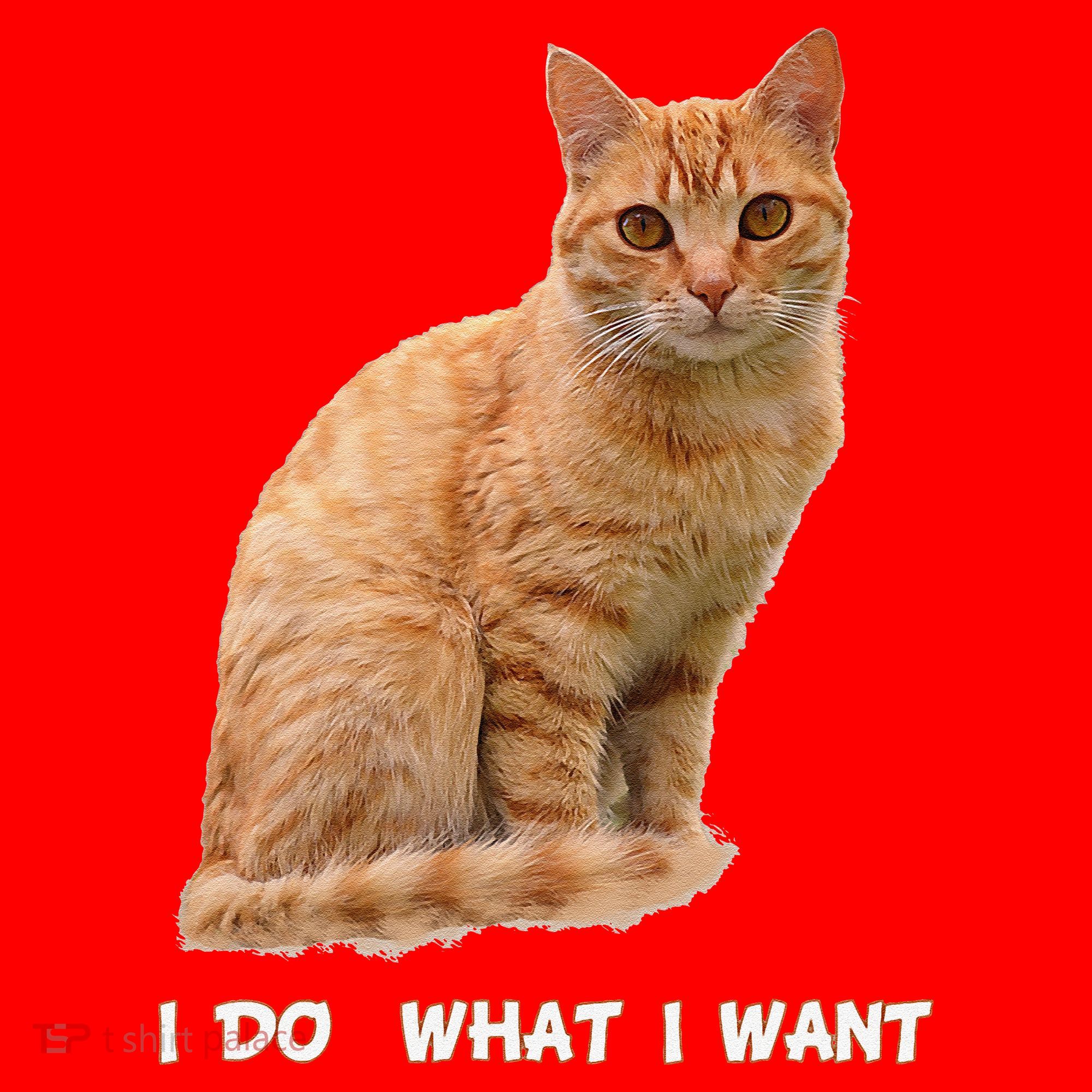 I Do What I Want Funny Orange Tabby Cat Lovers Gifts Santa Hat