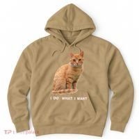 I Do What I Want Funny Orange Tabby Cat Lovers Gifts Hoodie thumb 0