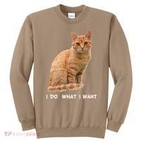 I Do What I Want Funny Orange Tabby Cat Lovers Gifts Sweatshirt thumb 0