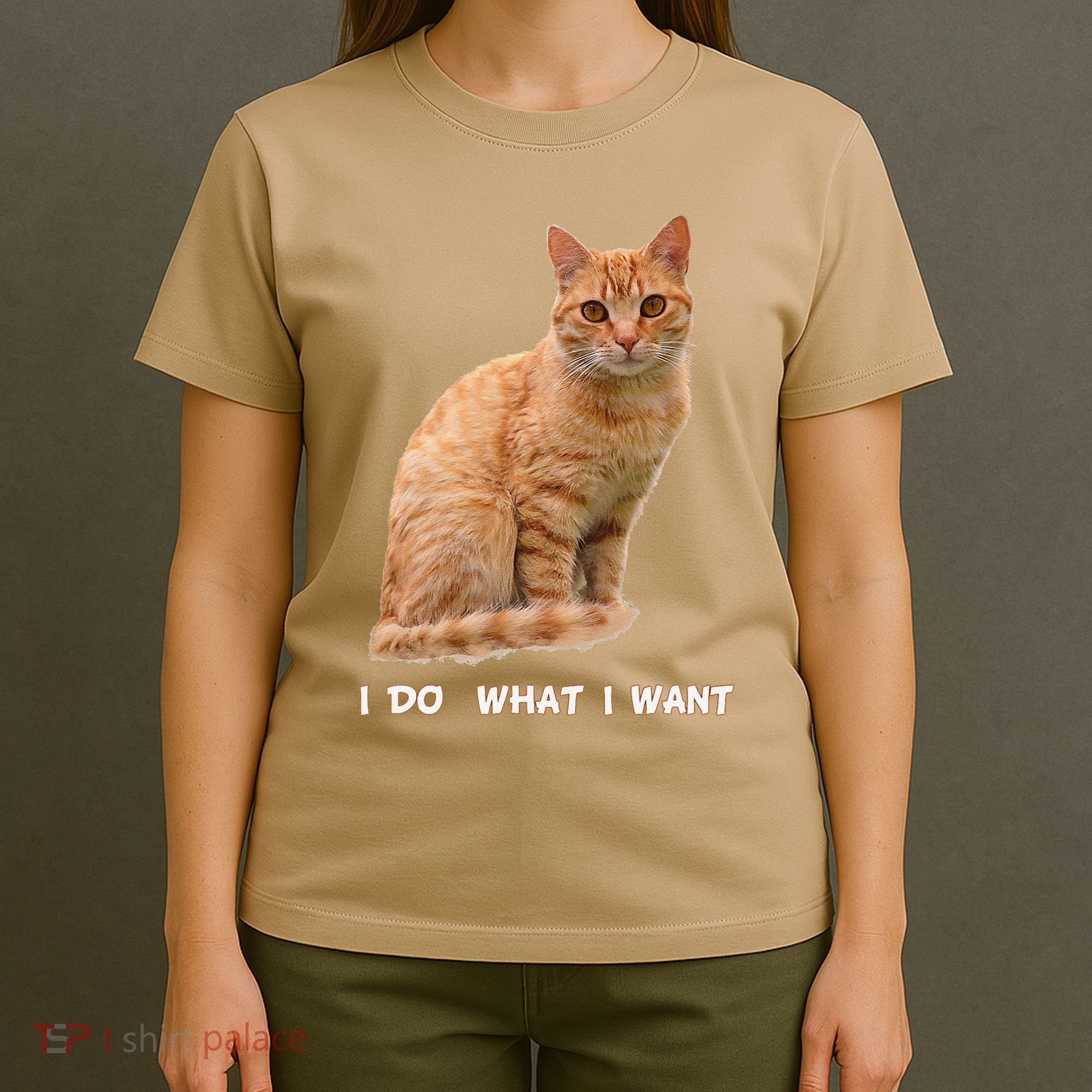 I Do What I Want Funny Orange Tabby Cat Lovers Gifts T-Shirt