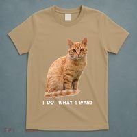 I Do What I Want Funny Orange Tabby Cat Lovers Gifts T-Shirt thumb 5
