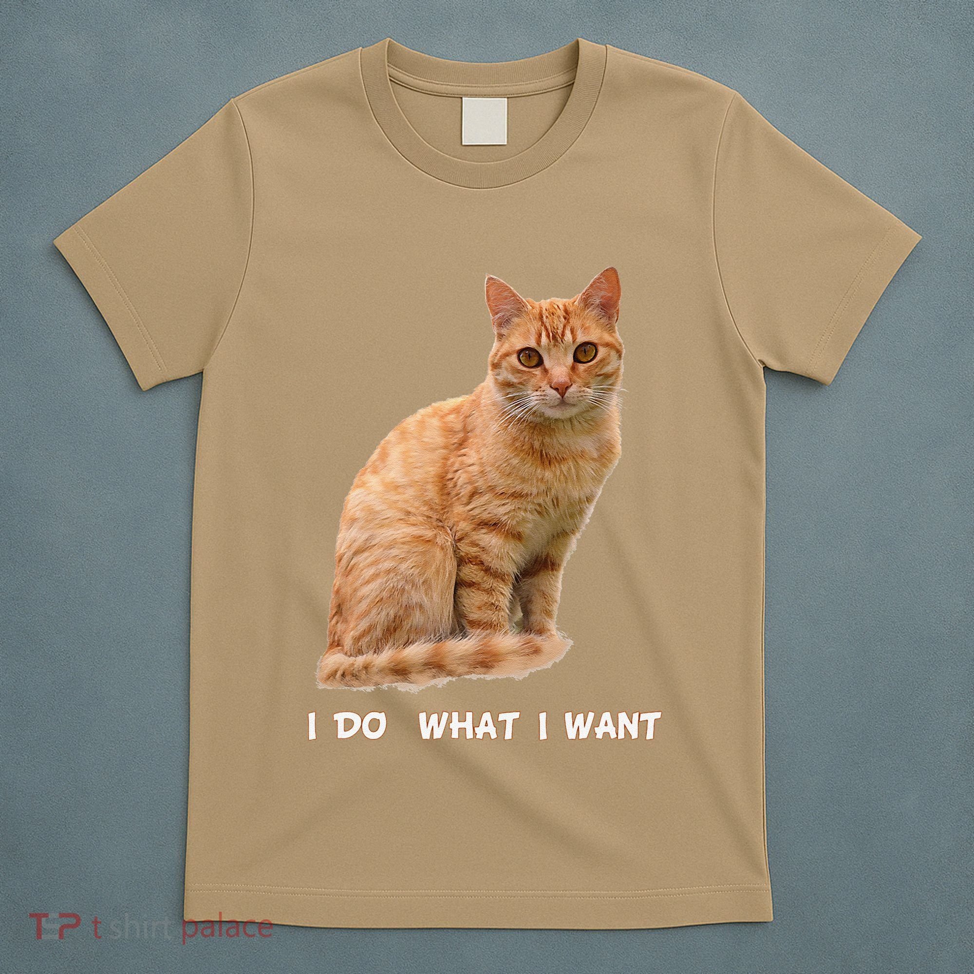 I Do What I Want Funny Orange Tabby Cat Lovers Gifts T-Shirt