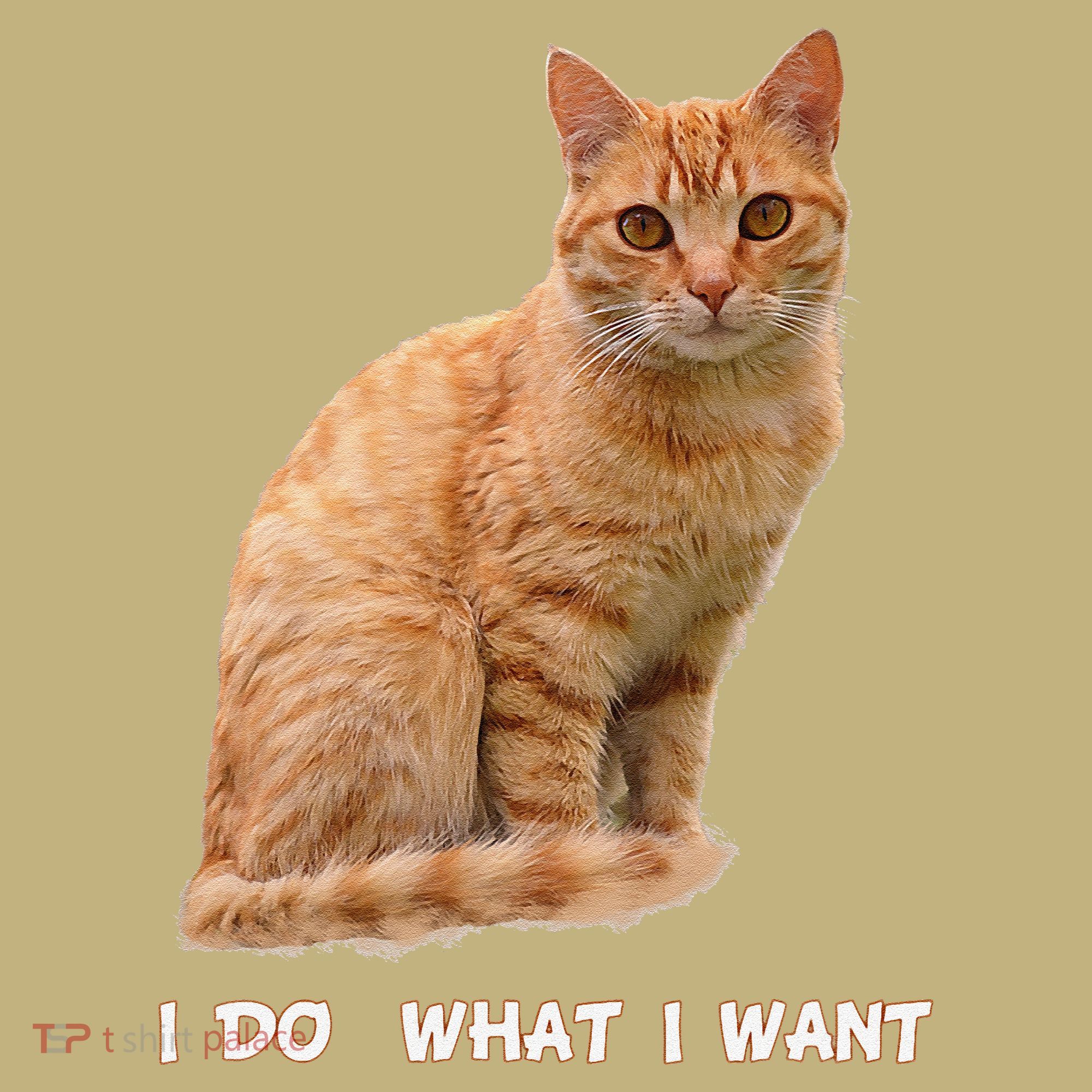 I Do What I Want Funny Orange Tabby Cat Lovers Gifts Mousepad