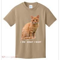 I Do What I Want Funny Orange Tabby Cat Lovers Gifts Kids T-Shirt thumb 0