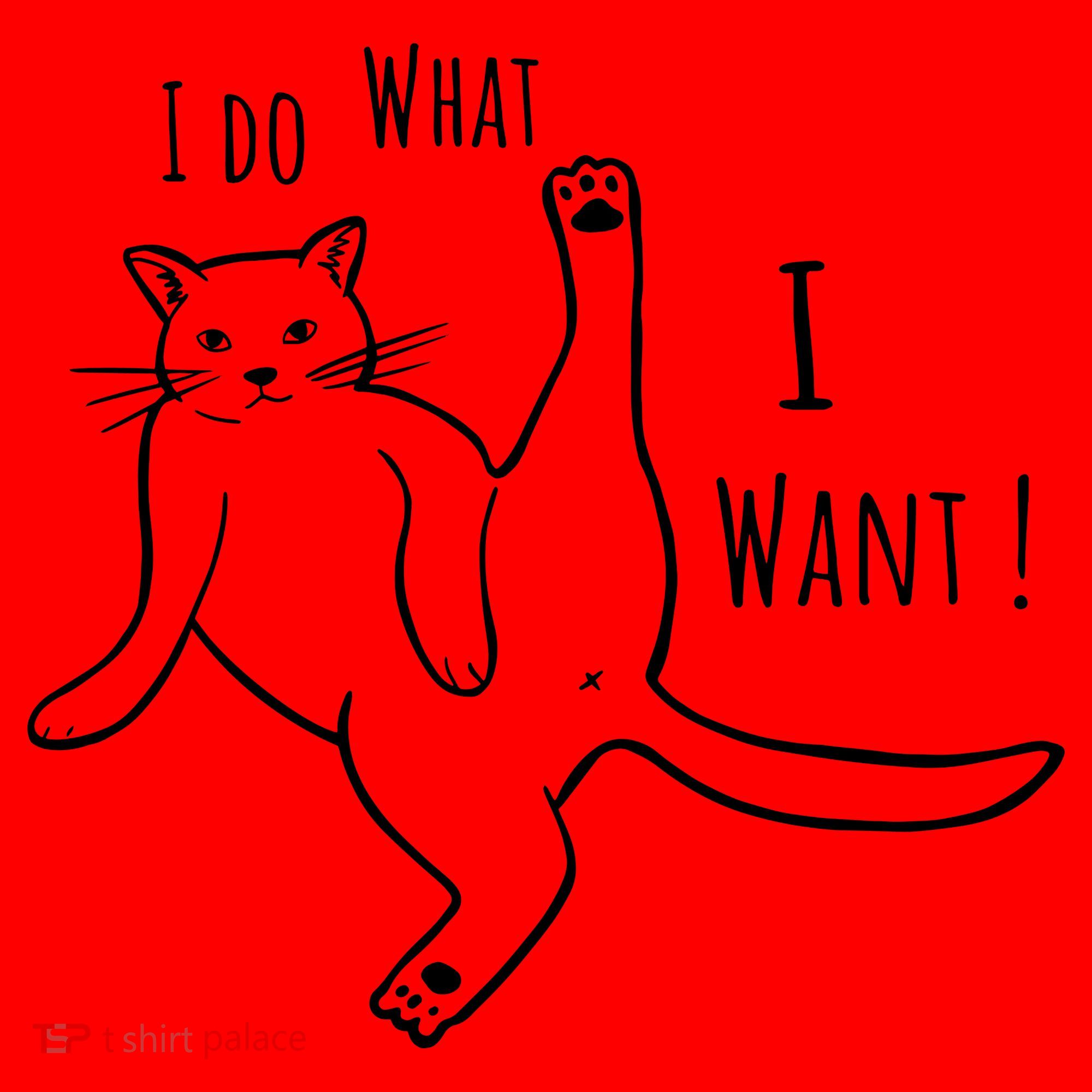 I Do What I Want Cat Santa Hat