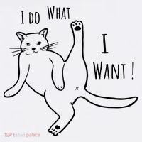I Do What I Want Cat Women's Tank Top thumb 5