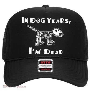 In Dog Years Im Dead Hat