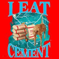 I Eat Cement Cursed Cat Funny Oddly Specific Dank Meme Santa Hat thumb 1
