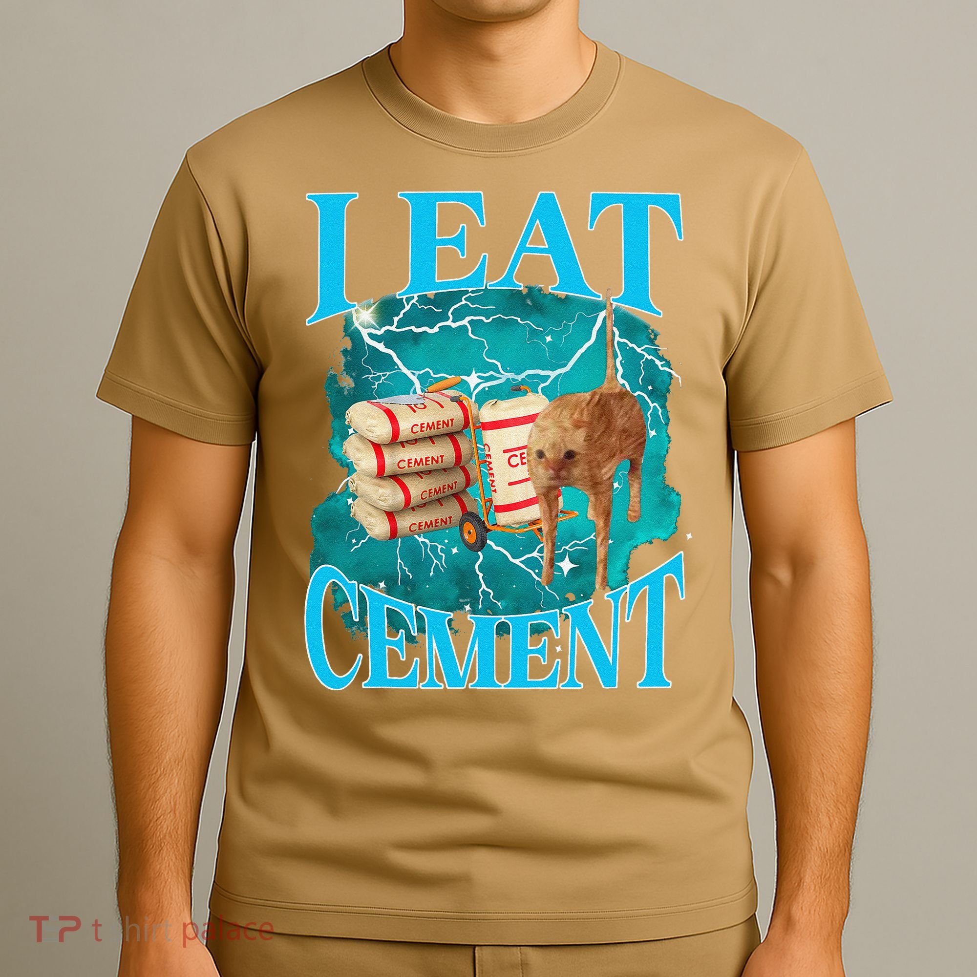 I Eat Cement Cursed Cat Funny Oddly Specific Dank Meme T-Shirt