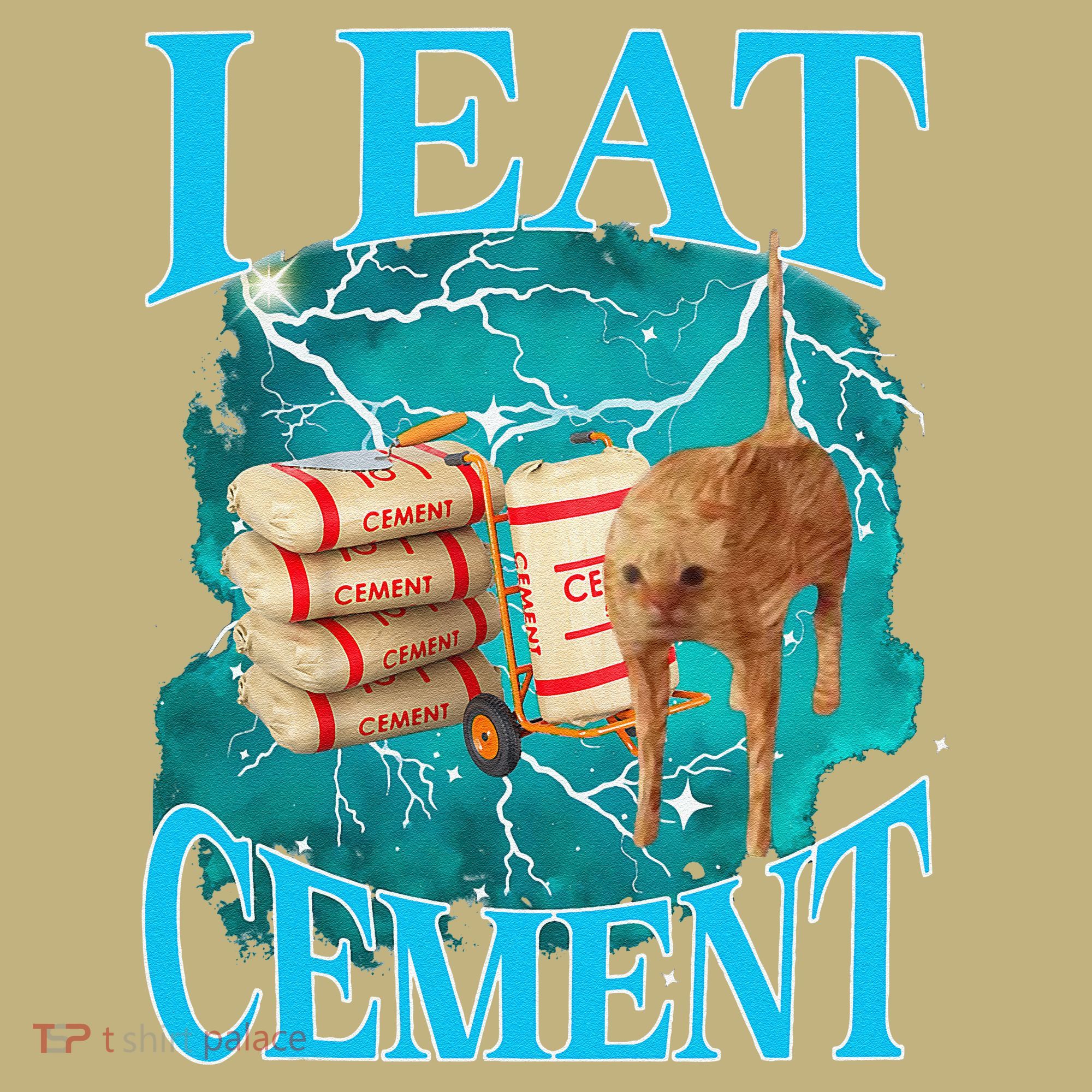 I Eat Cement Cursed Cat Funny Oddly Specific Dank Meme Kids T-Shirt