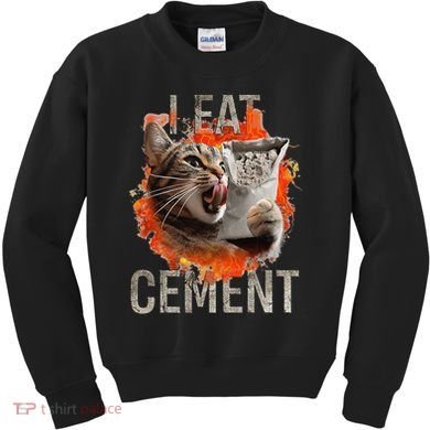 I Eat Cement Cursed Cat Funny Oddly Specific Dank Meme Kids Sweatshirt
