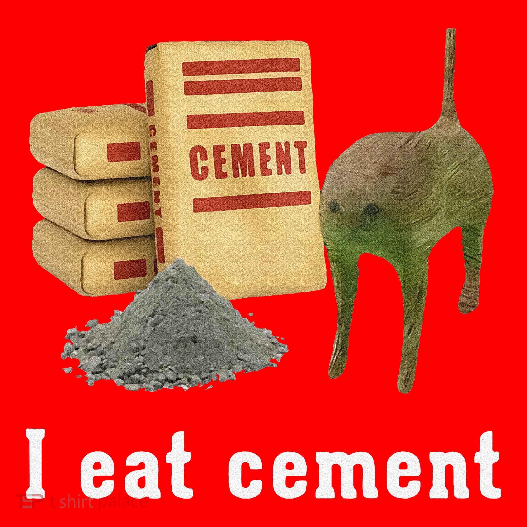 I Eat Cement Cursed Cat Funny Oddly Specific Dank Meme Santa Hat