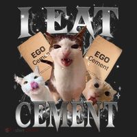 I Eat Cement Cursed Cat Funny Oddly Specific Dank Meme Cat Beanie thumb 2