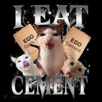 I Eat Cement Cursed Cat Funny Oddly Specific Dank Meme Cat Women's Hoodie thumb 2