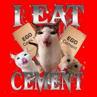 I Eat Cement Cursed Cat Funny Oddly Specific Dank Meme Cat Santa Hat thumb 1