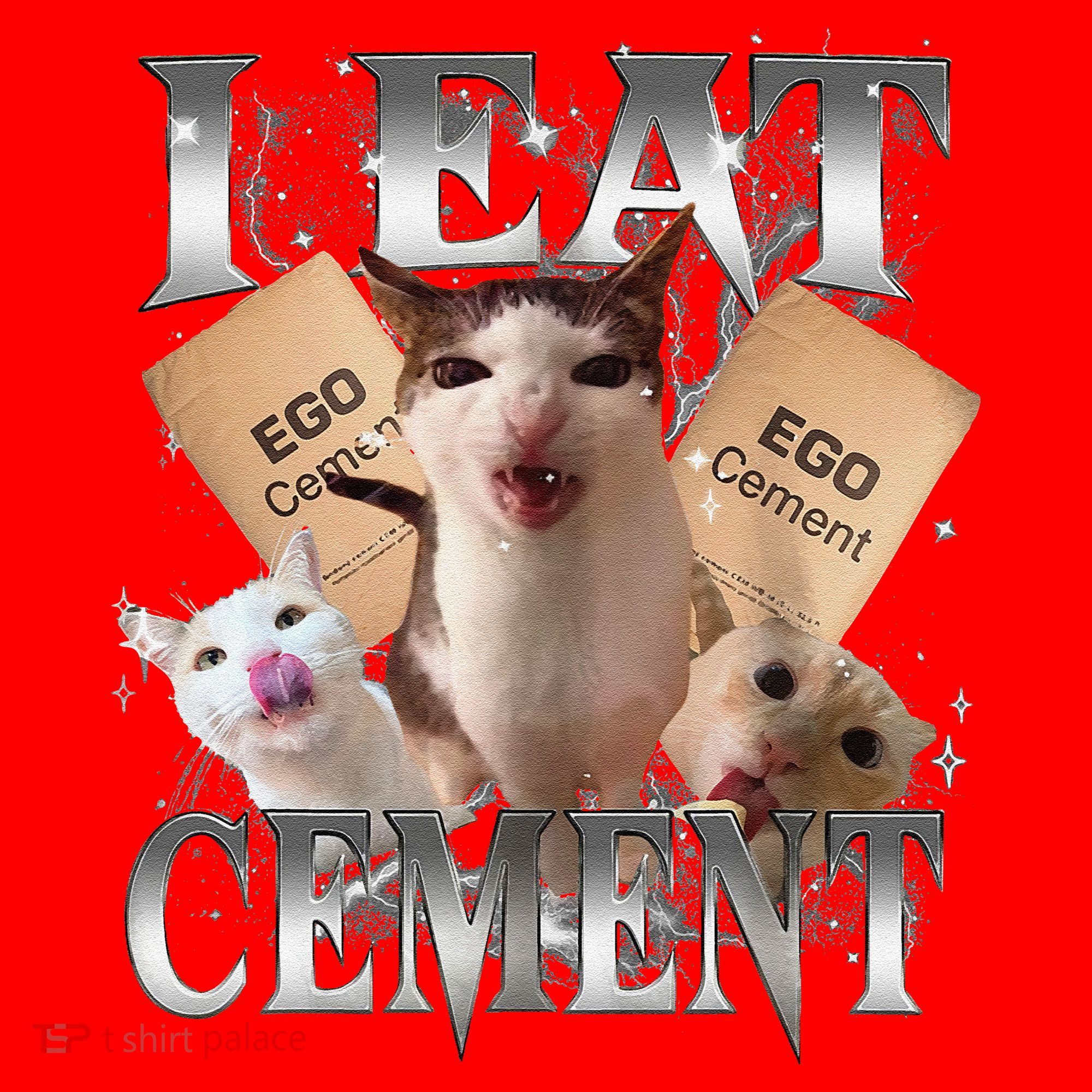 I Eat Cement Cursed Cat Funny Oddly Specific Dank Meme Cat Santa Hat