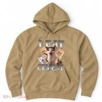 I Eat Cement Cursed Cat Funny Oddly Specific Dank Meme Cat Hoodie thumb 0
