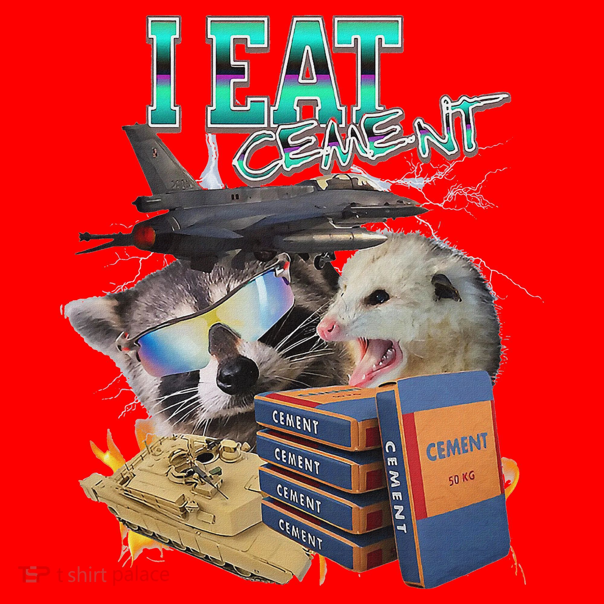 I Eat Cement Cursed Raccoon Possum Funny Meme Santa Hat