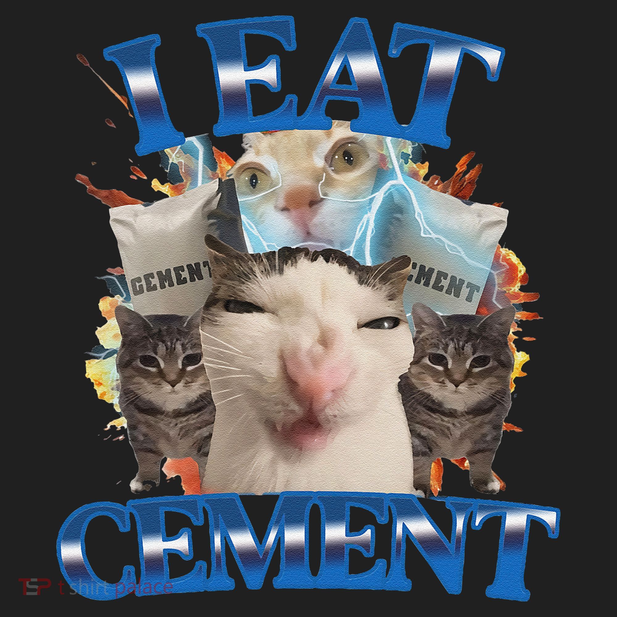 I Eat Cement Cursed Cat Funny Oddly Specific Dank Meme Beanie