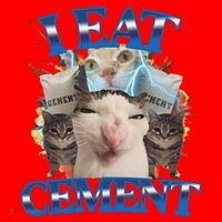 I Eat Cement Cursed Cat Funny Oddly Specific Dank Meme Santa Hat thumb 1