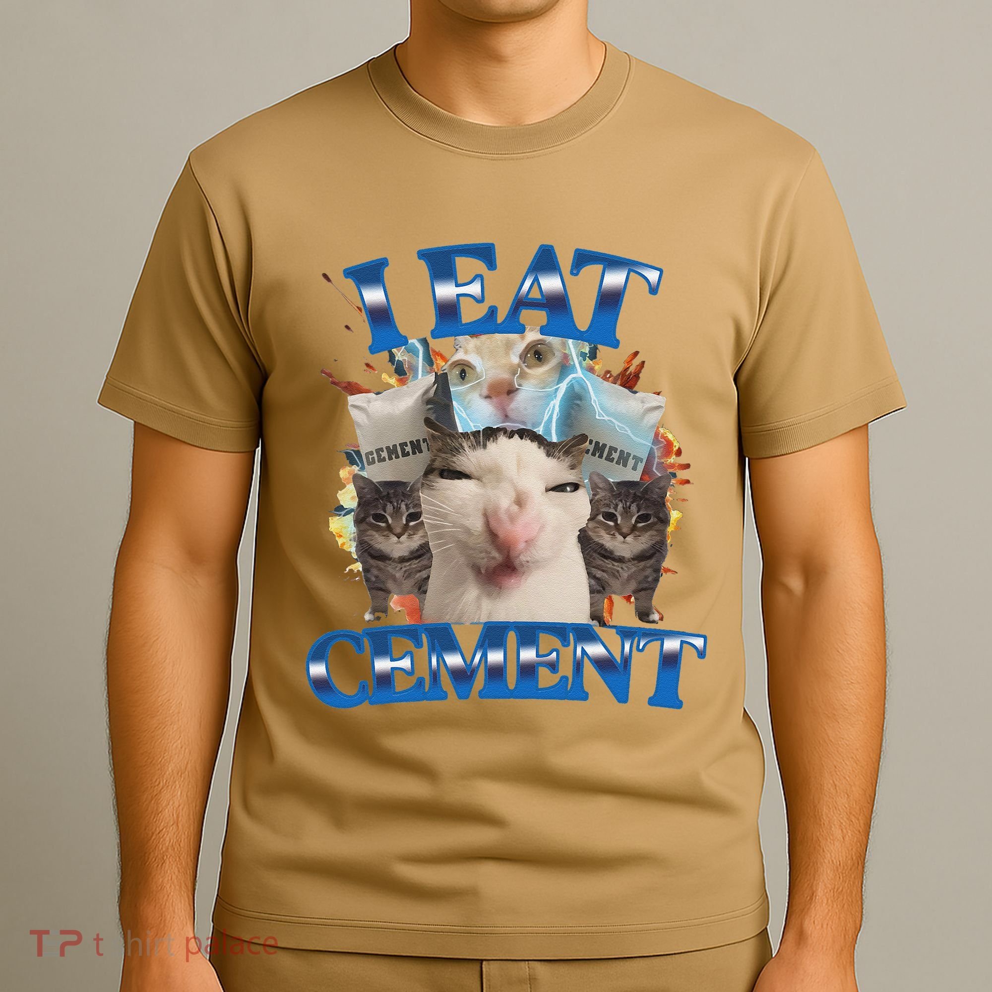 I Eat Cement Cursed Cat Funny Oddly Specific Dank Meme T-Shirt