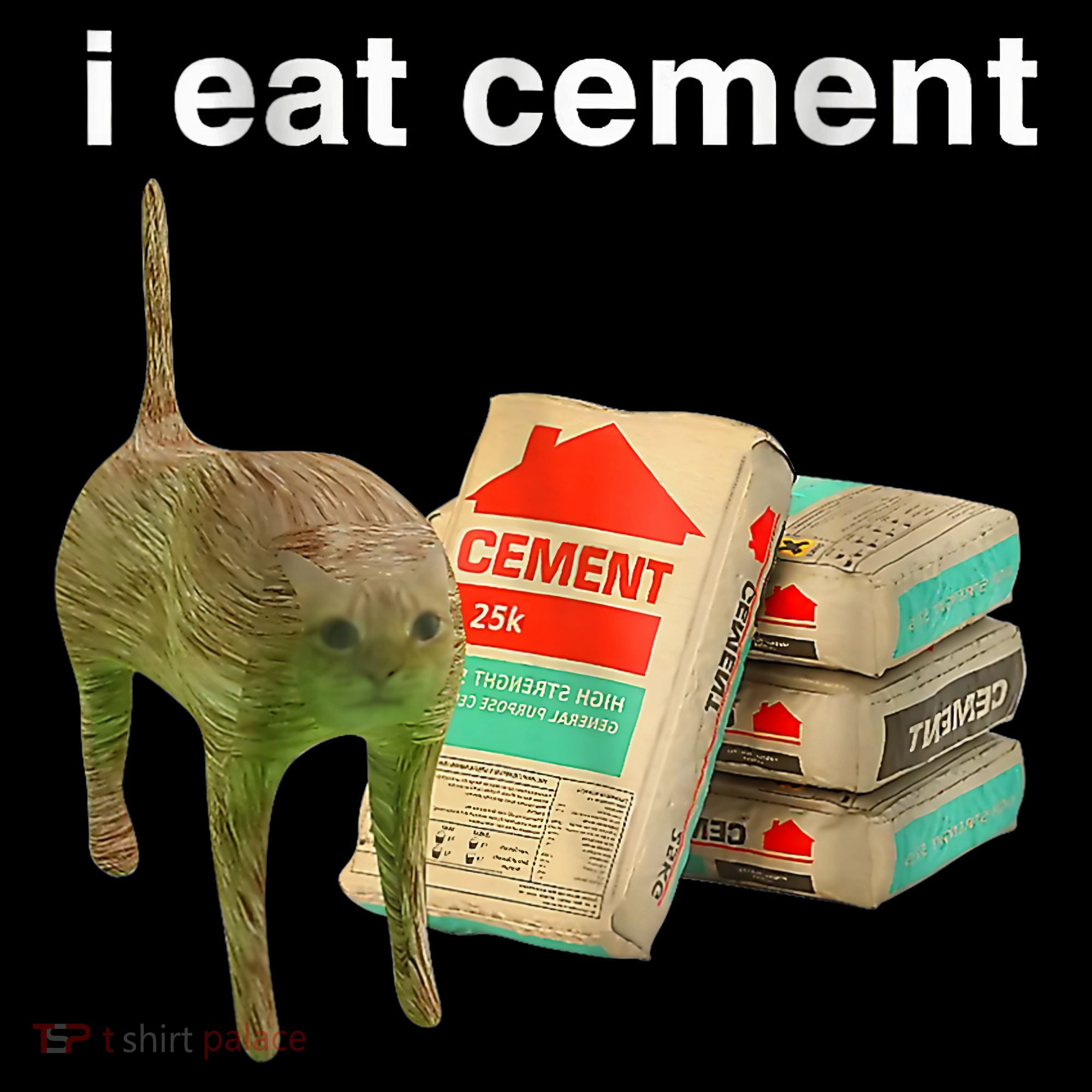I Eat Cement Cursed Cat Funny Oddly Specific Dank Meme T-Shirt
