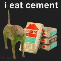 I Eat Cement Cursed Cat Funny Oddly Specific Dank Meme Beanie thumb 2